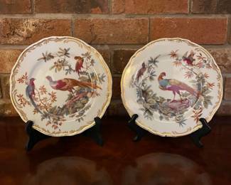 Exotic birds decorative plates