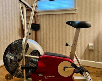 Giant stationary bike