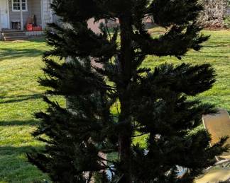 7.5' Christmas tree no lights on