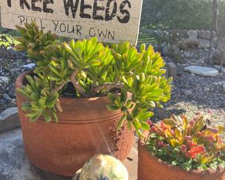 Lots of cool and unusual yard stuff