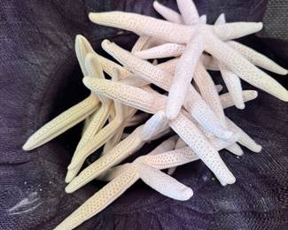 Starfish