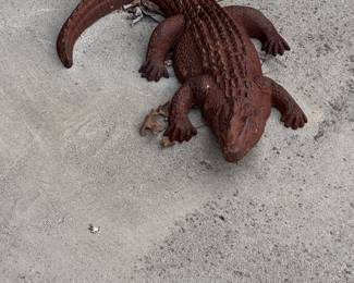 aligator