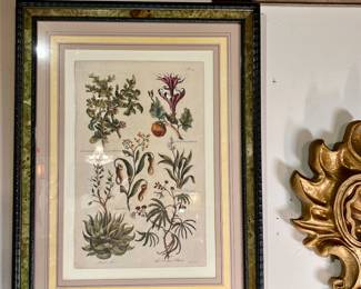 2nd of Pair of Botanical Prints
