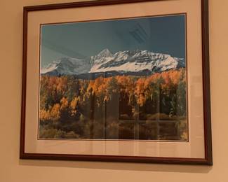 Framed wall art 