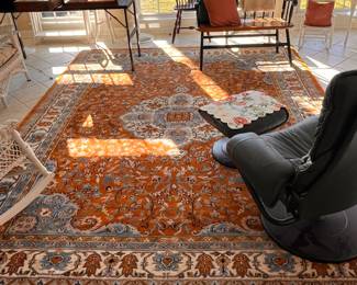 Large Area Rug 