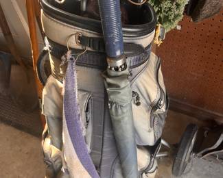 golf bag and clubs