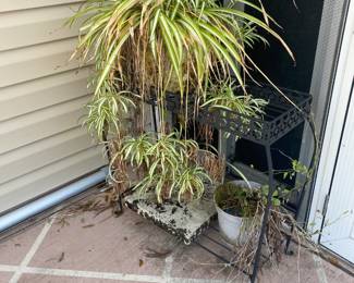 Plant Stand