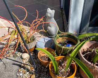 Planters