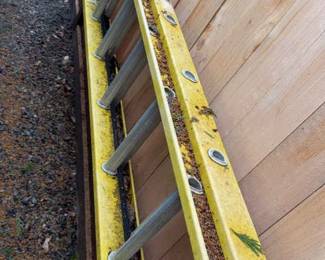 Extension Ladder