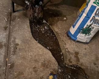 About 3 ft cast iron $100