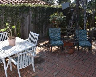 Start Backyard Close Up Photos