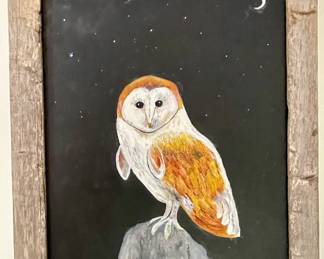 "Hoody, The Barn Owl"