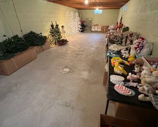 Not only is the first floor of the house full, but the basement which is massive is full too! Lots of holiday tools, outdoor and sports!