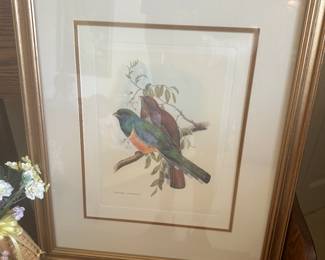 Here’s another beautiful print of birds