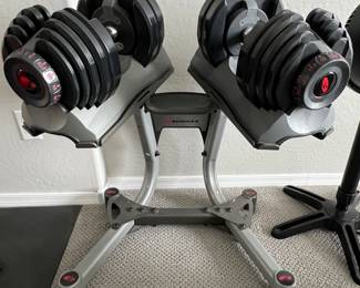 Bowflex Weight Set w Stand 