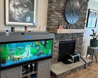 Fish & fish tank is NOT for sale 