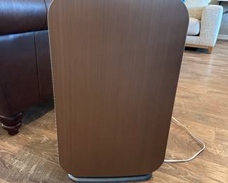 Air purifier 