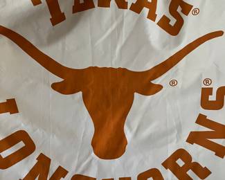 Texas Longhorn shower curtain
