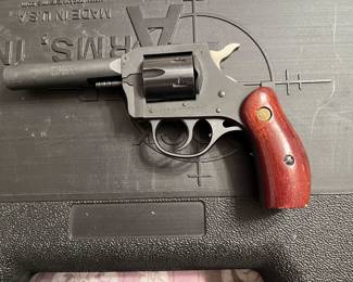 Ruger 22 handgun made by New England Firearms