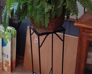 Plant stand and fern