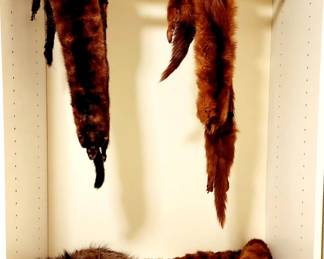 Vintage Mink Stoles and wraps