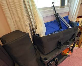 PROFESSIONAL PHOTOGRAPHY