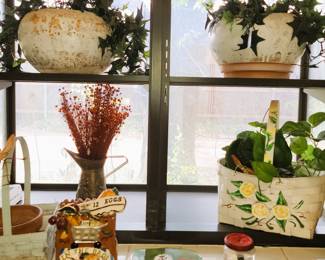 plants and planters