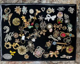 Largest Collection of Costume Jewelry / Pins