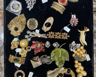 Largest Collection of Costume Jewelry / Pins