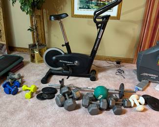 Schwinn 105P Stationary Exercise Bike with Loads of Weights