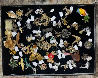 Largest Collection of Costume Jewelry / Pins