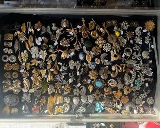 Largest Collection of Costume Jewelry