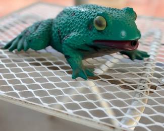 Frog decor 