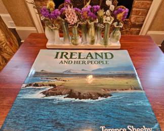 One of the many travel books