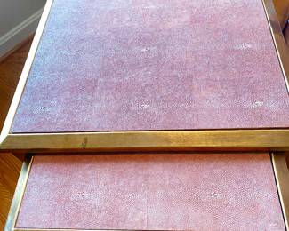 shagreen detail