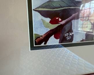 Framed & Matted Watercolor Print of Java Sparrows by Shelly Maudsley White 