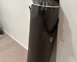 Everlast punching bag 