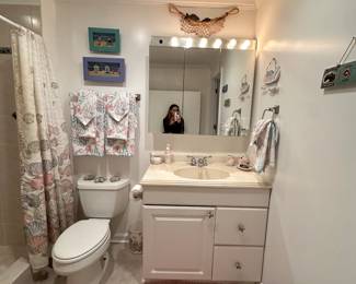 All the bathroom decor 