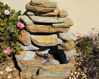 Fountain of Youth.  Very popular here in The Villages.