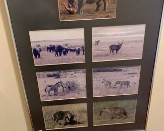 #100	set of 3 framed pictures of African animals, giraffes, elephants, lions, hippos and more	 $28.00 

