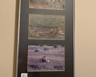 #100	set of 3 framed pictures of African animals, giraffes, elephants, lions, hippos and more	 $28.00 
