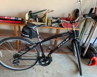 #123	Fuji racing bike	 $120.00 
