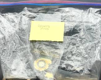 “Sports Pins” Mystery Lot
