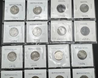 Sleeved Buffalo & V Nickel Collection
