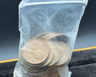 Mystery Pouch Of Pennies
