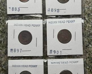 (6) Sleeved Indian Head Cents
Includes 
1883
1895
1897
1901
1906
1907
