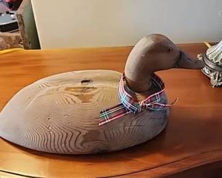 HY Dahlka Wood Duck
