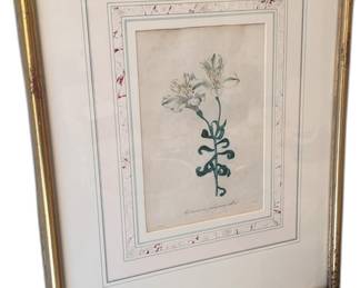 FW Smith 1834 - Framed Antique Botanical Print