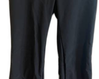 The North Face Black Ski Snow Pants