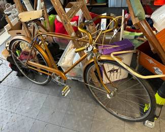 Dunelt Bike